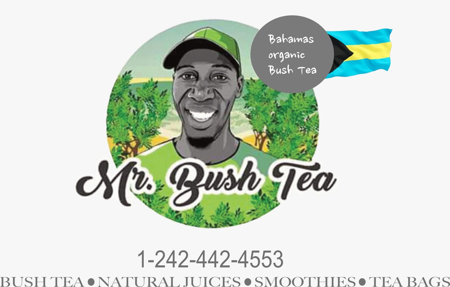 Mr Bush Tea